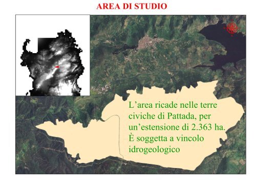 Elaborazioni preliminari per un Piano di Assestamento forestale. Il ...