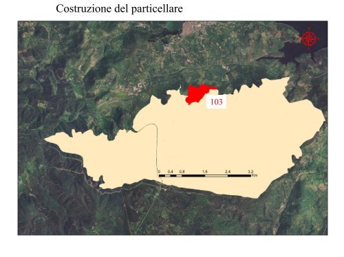 Elaborazioni preliminari per un Piano di Assestamento forestale. Il ...