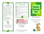 Rabbit Care Flyer (Read-Only) - cumberland county 4-h.