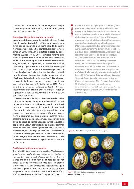 Télécharger le PDF - Revue suisse de viticulture arboriculture ...