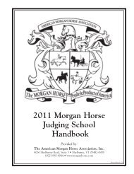 Judging School Handbook - American Morgan Horse Association
