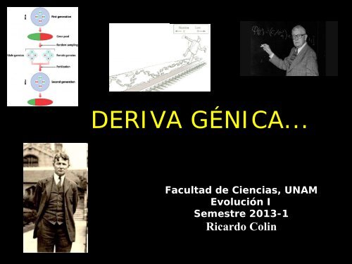 deriva génica - UNAM