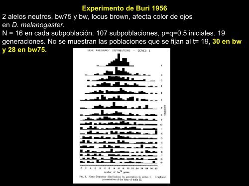 deriva génica - UNAM