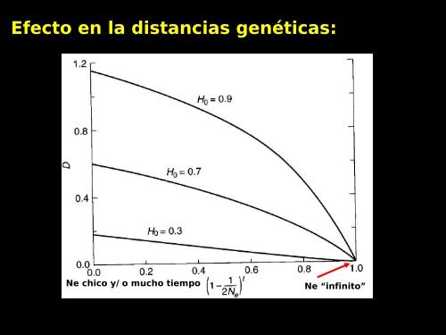 deriva génica - UNAM