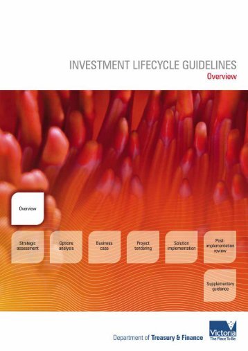 Investment lifecycle guidelines 2008 - Overview (PDF 575kb)