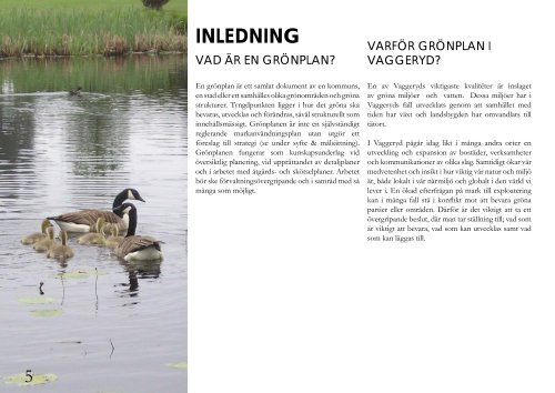 Grönplan Vaggeryd 2008.pdf - Vaggeryds kommun
