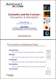 Cosmetics and the 5 senses - Sensory Spectrum