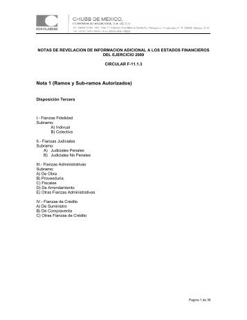 Notas de RevelaciÃƒÂ³n de InformaciÃƒÂ³n Adicional a los Estados ...