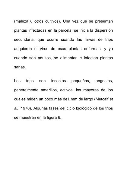 el virus de la marchitez manchada del jitomate ... - INIFAP Zacatecas