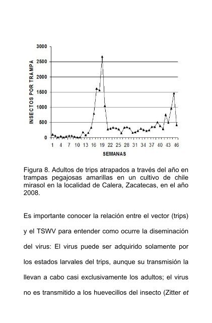 el virus de la marchitez manchada del jitomate ... - INIFAP Zacatecas