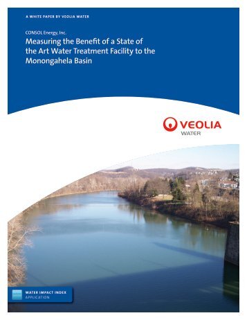 An Industrial Water Impact Index case study - Veolia Water Solutions ...