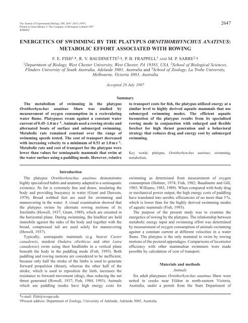 energetics of swimming by the platypus ornithorhynchus anatinus