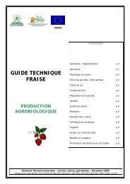 guide technique fraise - Chambre d'Agriculture de Lot-et-Garonne