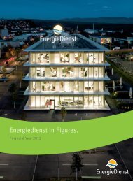 Energiedienst in Figures. - EnergieDienst AG