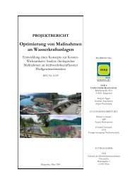 RiverSmart - Optimierung von Maßnahmen an Wasserkraftanlagen