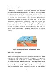 Tsunami Report(Page 21-40)
