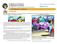 Programa de Prevención en Seguridad de Tránsito