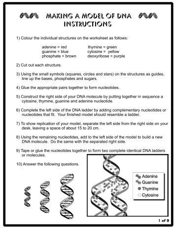 Making a Model of DNA Instructions