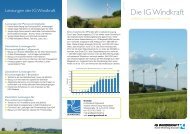 Vorstand der IG Windkraft