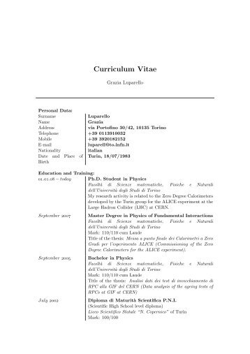 Curriculum Vitae - INFN - Torino Personal pages