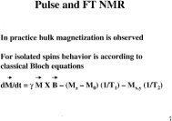 RF pulses and spin relaxation - Bloch equations