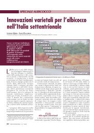 Innovazioni varietali per l'albicocco nell'Italia ... - InfoKeeper