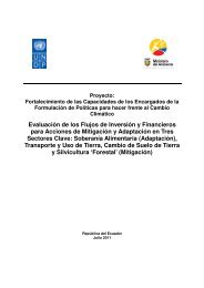 EvaluaciÃ³n de los Flujos de InversiÃ³n y Financieros ... - UNDPCC.org