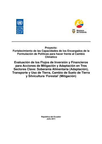 EvaluaciÃ³n de los Flujos de InversiÃ³n y Financieros ... - UNDPCC.org