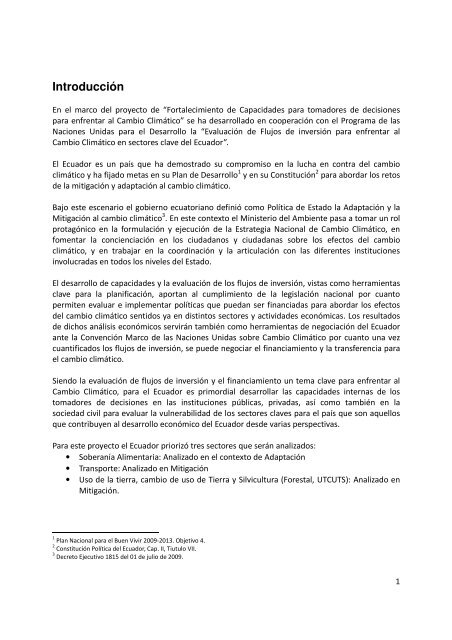 EvaluaciÃ³n de los Flujos de InversiÃ³n y Financieros ... - UNDPCC.org