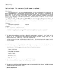 Lab: Hydrogen Bonding - Honors Chemistry Coursework