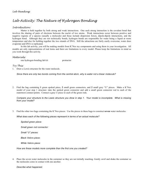 Lab: Hydrogen Bonding - Honors Chemistry Coursework