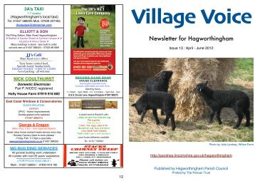 Village Voice - Lincolnshire County Council
