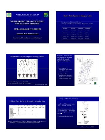 WESTERN INDIAN OCEAN (WIO) REGION MARINE TURTLE ...