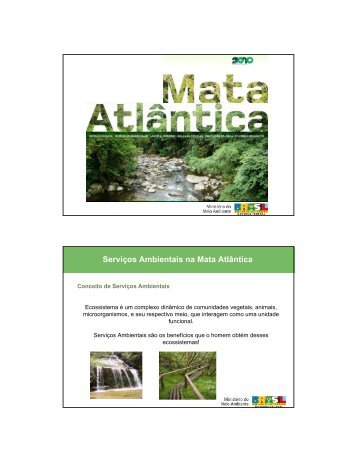 Serviços Ambientais na Mata Atlântica