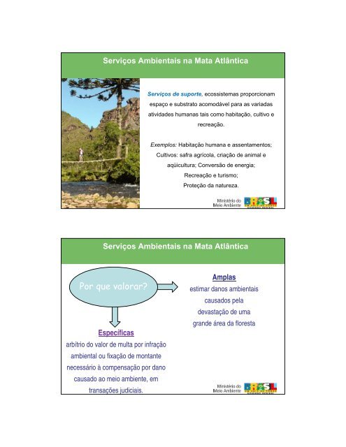 Serviços Ambientais na Mata Atlântica