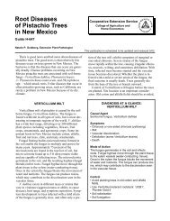 Root Diseases of Pistachio Trees in New Mexico - NMSU's College ...