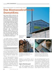 Das Biomassekraftwerk Domat/Ems - Alps Know-How