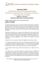 SynthÃ¨se et recommandations