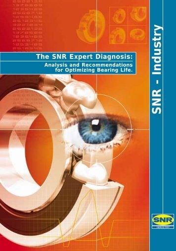The SNR Expert Diagnosis