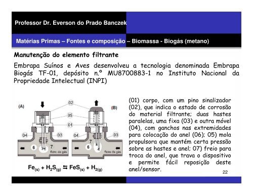 Professor Dr. Everson do Prado Banczek