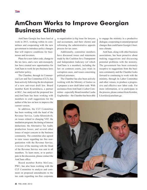 Issue 1, 2013 February-March - Investor.ge