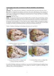 Conservation Ã  long terme des betteraves: Effet de l'effeuillage et du ...
