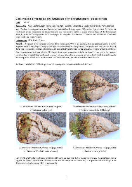 Conservation Ã  long terme des betteraves: Effet de l'effeuillage et du ...