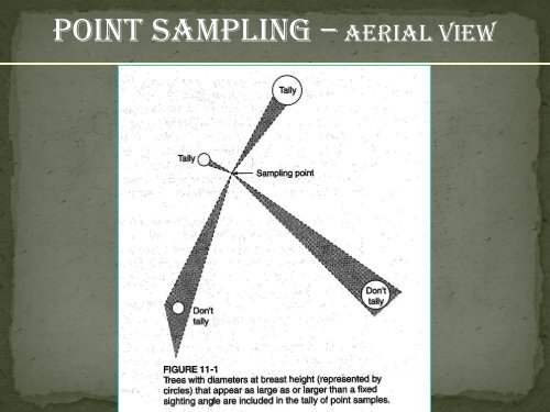 Point sampling