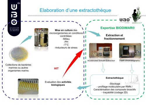 Elise PETIT RODAT - Adebiotech