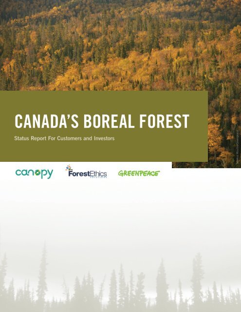 Status Report For Customers and Investors - Greenpeace Canada