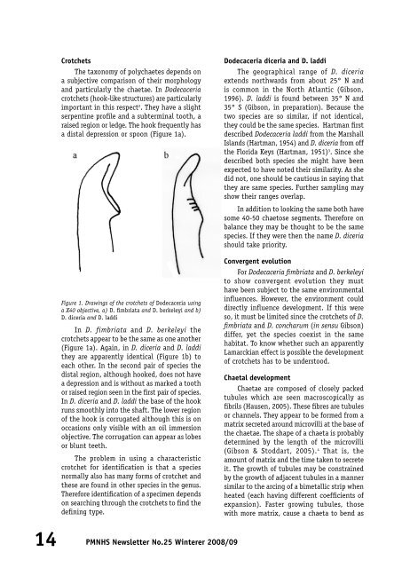 Porcupine Newsletter Number 25, Winter 2008/09.