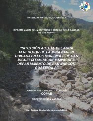 Informe Anual del Monitoreo y Analisis de la Calidad ... - guatemala.at