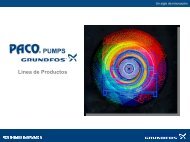 Presentacion PACO PUMPS - bomba sultana