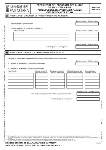 Presupuesto del programa para el que se solicita ayuda